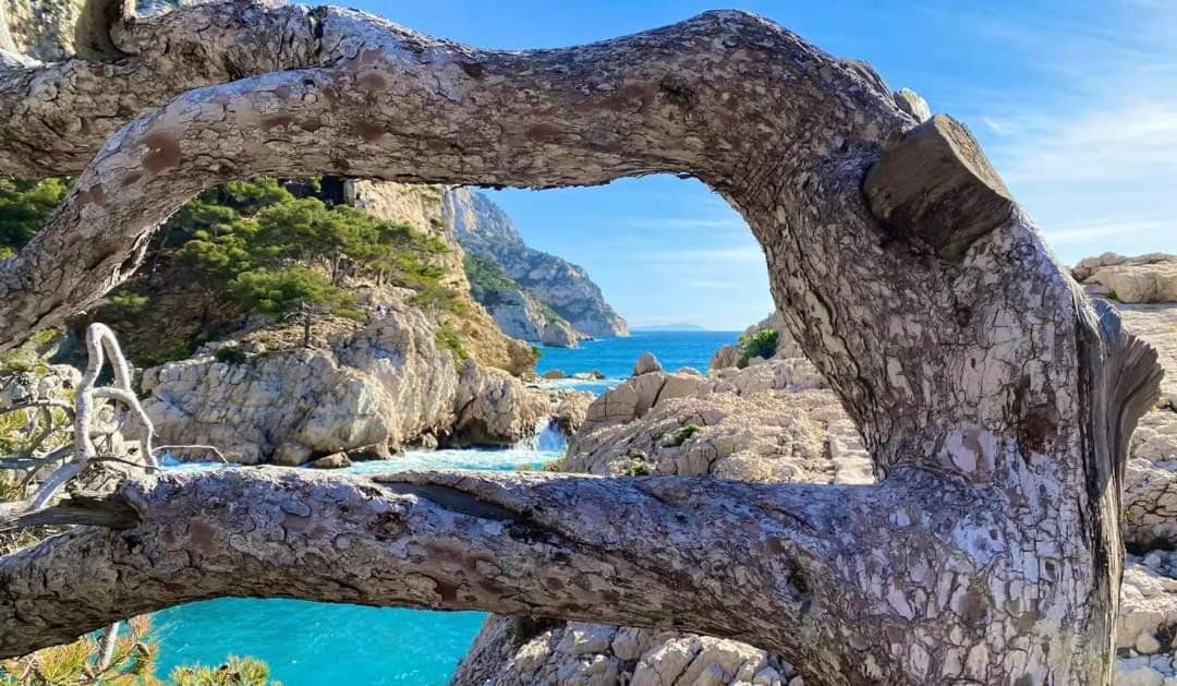 Mon Petit Paradis, Cassis Centre Apt 90 M2, 200 M Mer, Terr Plein Sud, Clim Park Prive Luaran gambar